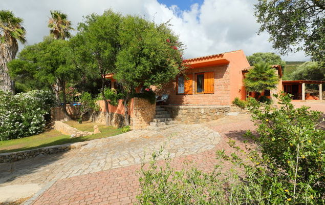 Bouganville - Photo 3