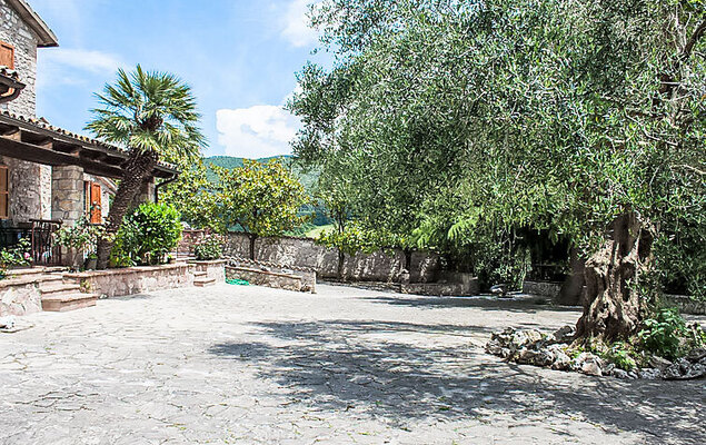 Olivo secolare - Photo 17