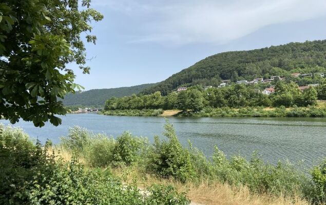 Tiny Haus Suite Altmühlperle - Photo 19