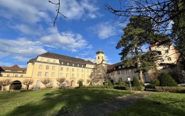 Schwarzwaldchalet de luxe mit Sauna - Photo 29