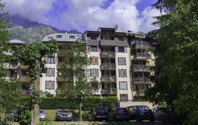 Jonquilles - Photo 1