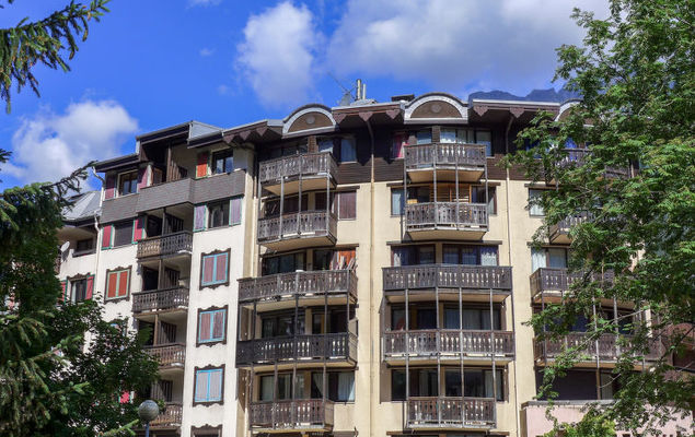 Jonquilles - Photo 2