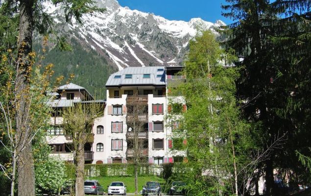 Jonquilles - Photo 3