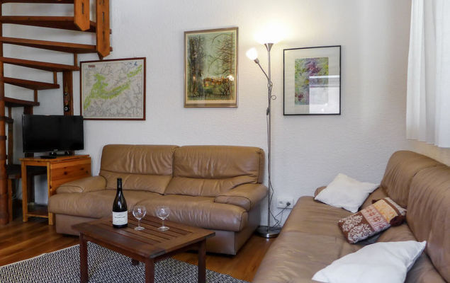 Jonquilles - Photo 4